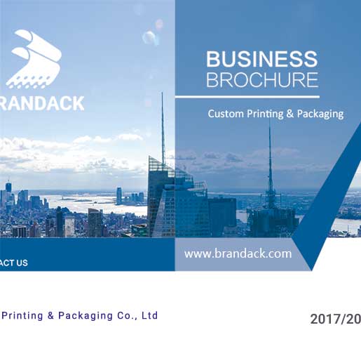 E-catalog & Brochure