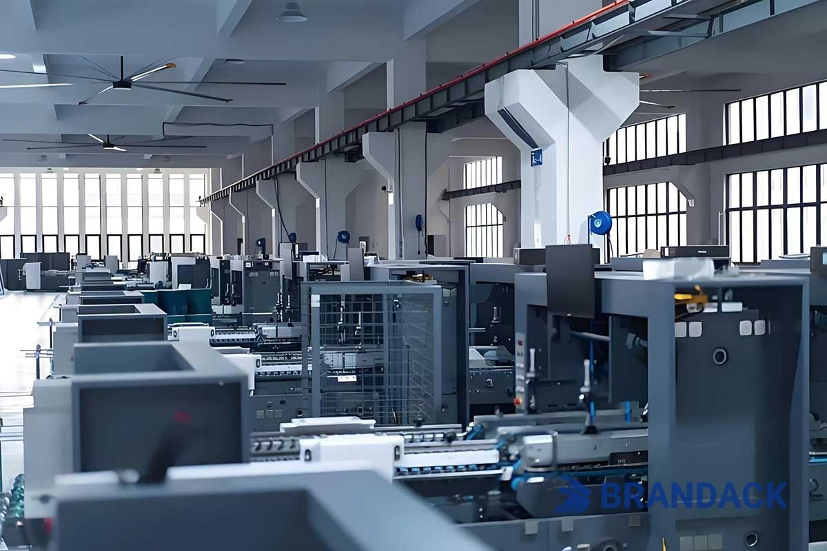 Folder Gluer Machine