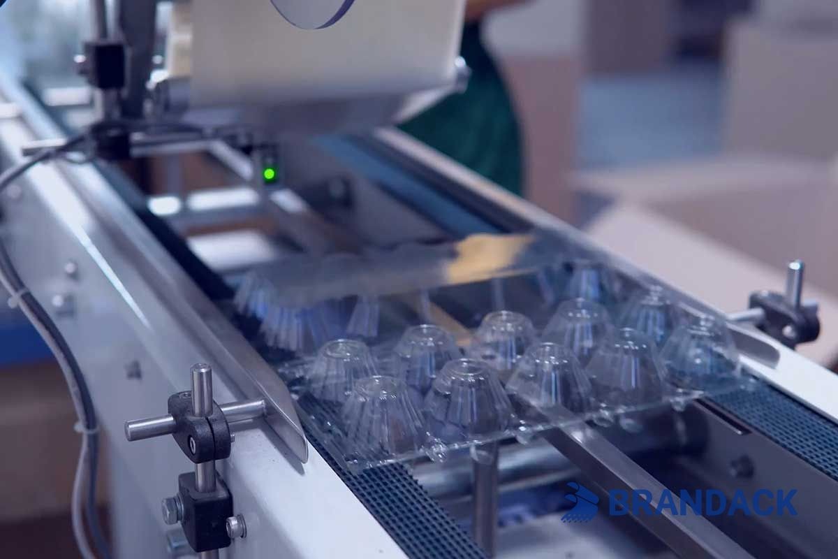 Blister Packaging Production Line