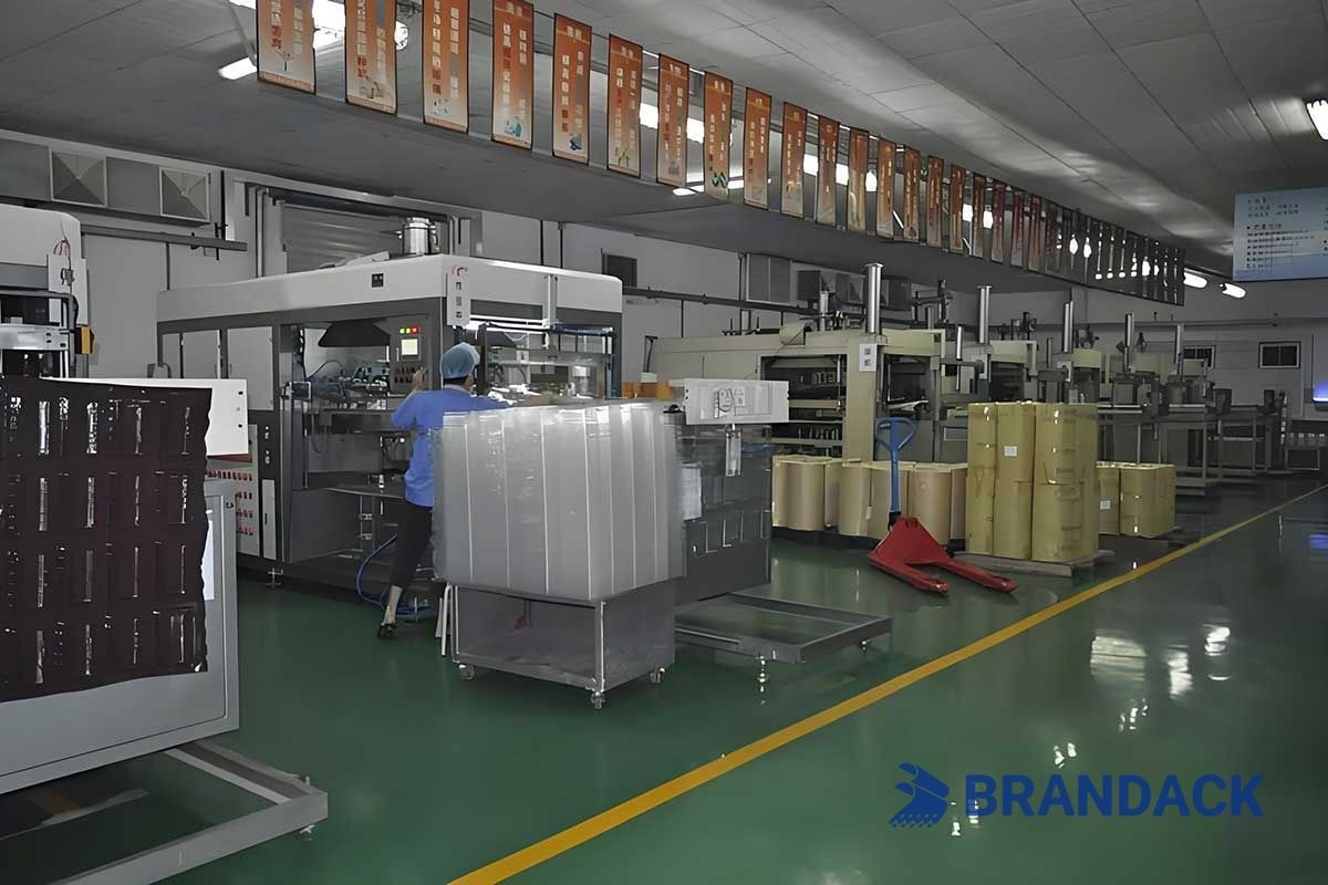 Blister Packaging Equipment for Take-away Food